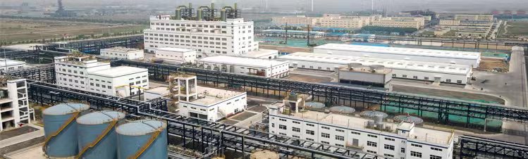 关于亚星 关于亚星